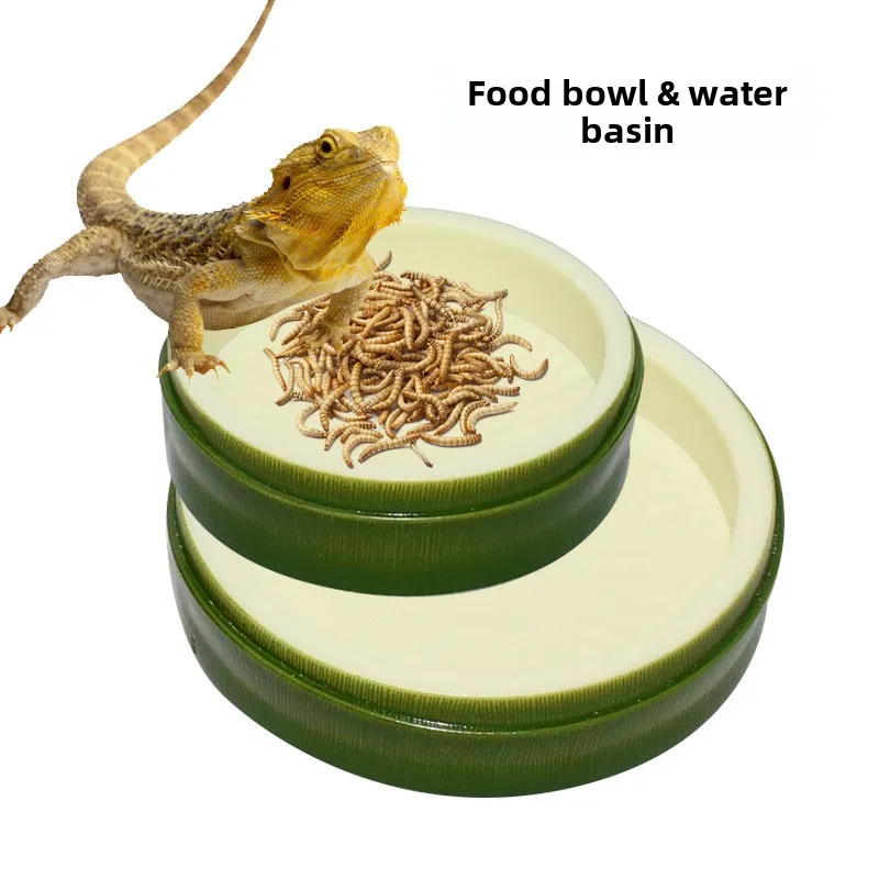 Leaf Food Basin Crawler Basin Tortoise Palace Guard Corn Snake Pet Climbing Drinking Bowl  Green Ecological Simulation