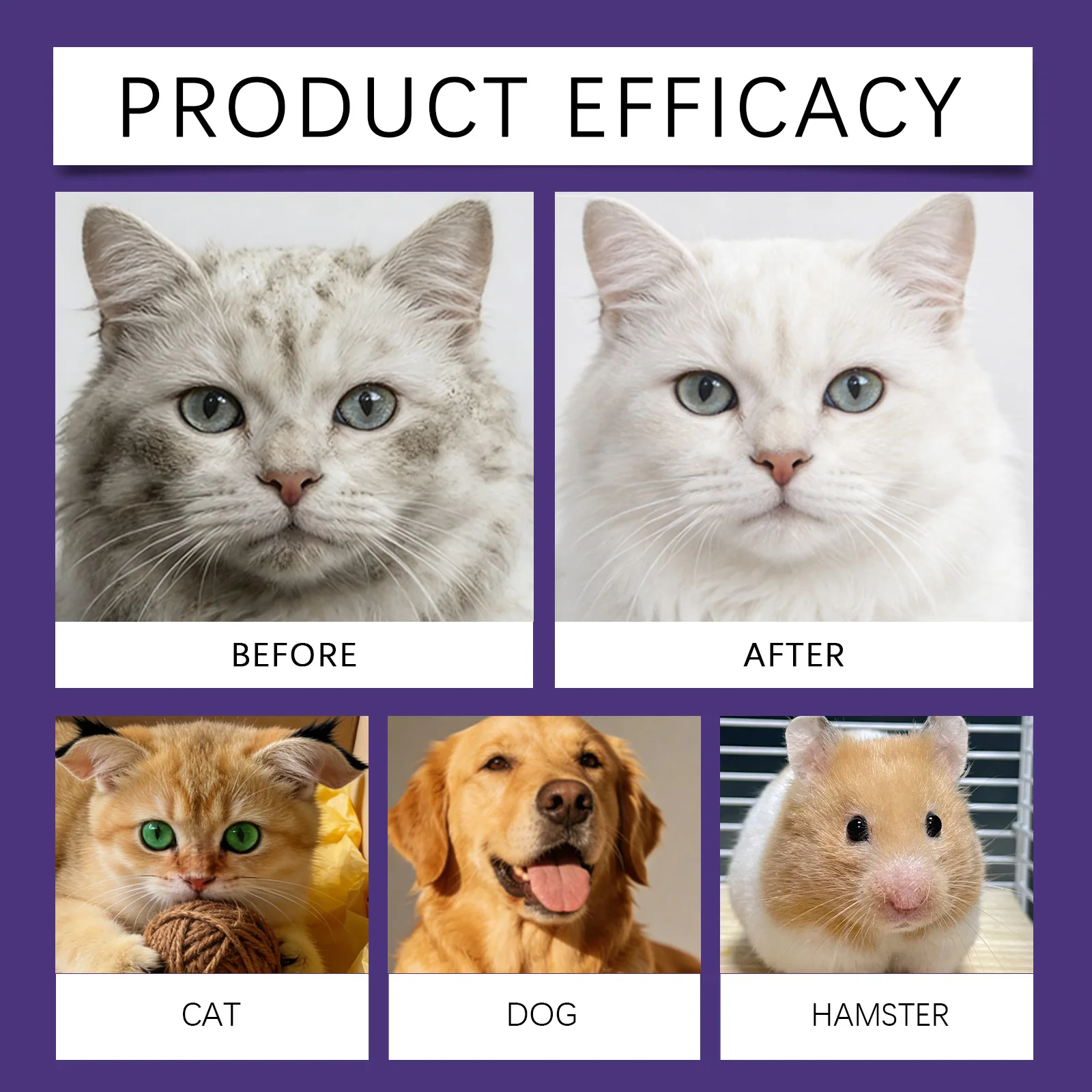 Pet Waterless Dry Cleaning Bubble Shampoo Kit Remove Stains Eliminate Odor Smooth Coat for Dogs Cats Portable Grooming Care Set view 4