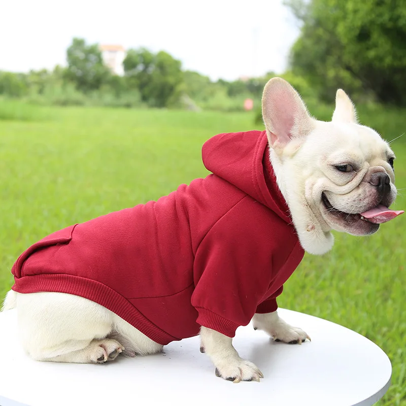 Puppy Pet Hooded Sweatshirt Autumn Winter Two-legged Pocket Cat Dog Clothes Soft Warm Dog Clothing