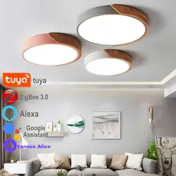 Plafonnier LED Zigbee Tuya, lustre, assistant domestique intelligent, 2MQTT Decor, Alice, Alexa, chambre à coucher, chambre d'enfant nordique