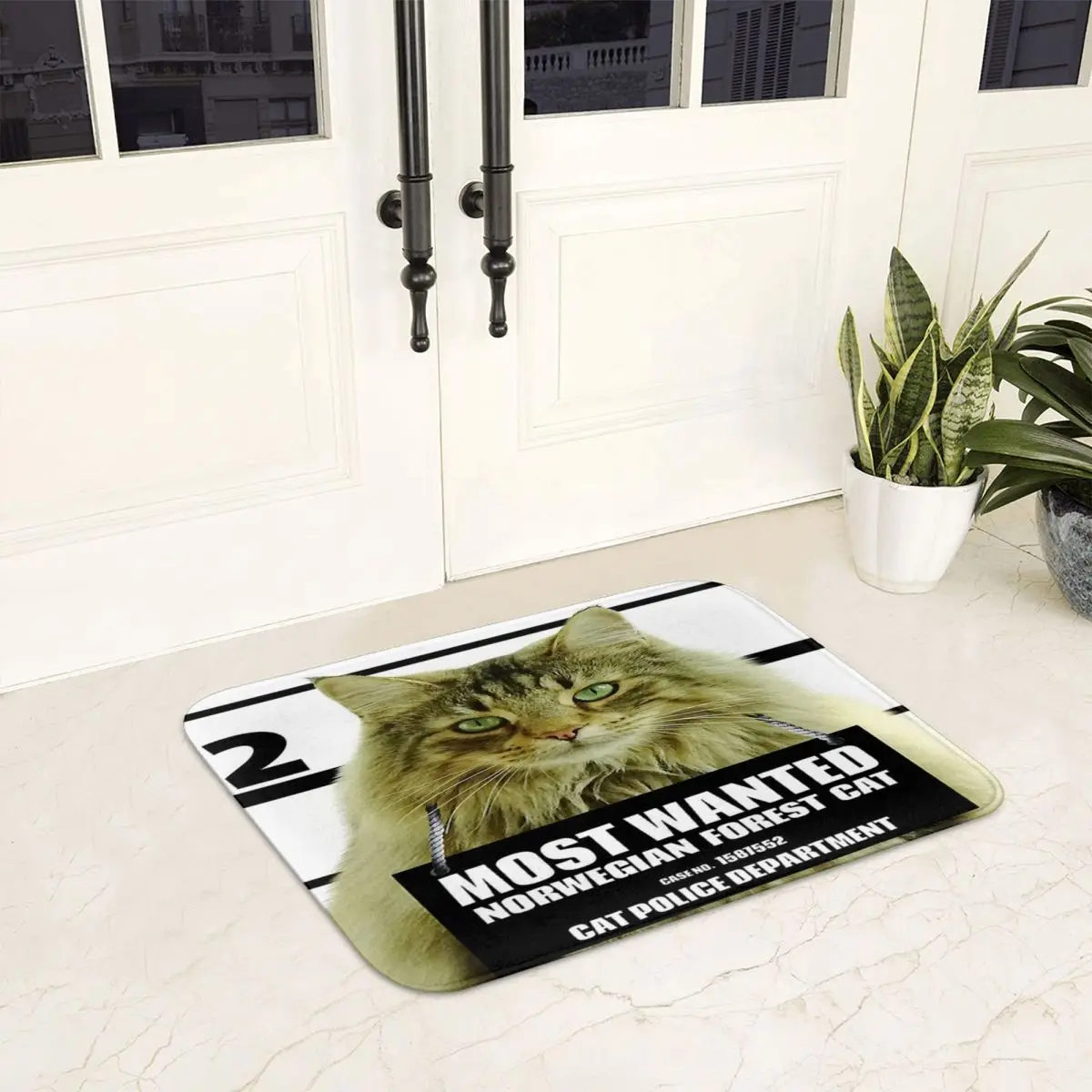 Most Wanted Norwegian Forest Cat Feline Doormat Anti-skid Bathroom Floor Mats Home Entrance Rugs Kitchen Carpet Hallway Footpad