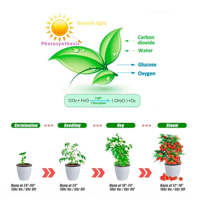 Luz LED de cultivo LM301, lámpara Phyto de espectro completo de alto PPFD, AC85-240V 50W 240w para tienda de plantas, sistema de cultivo hidropónico de invernadero