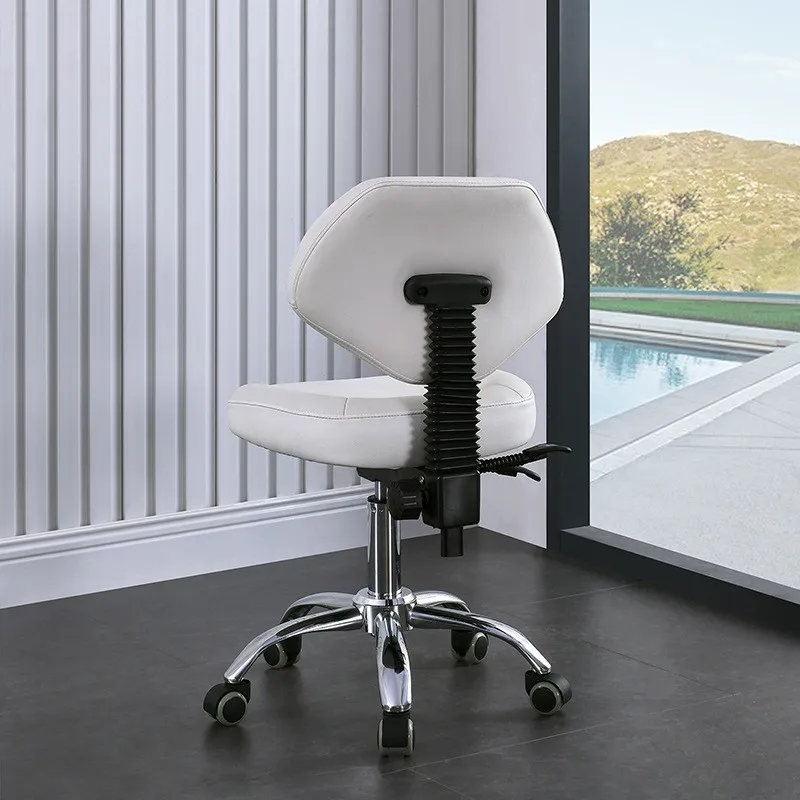 Swivel Rolling Hydraulic Height Adjustable Stool Ergonomic with Backrest Wheels For Tattoo Massage Spa Manicure Dentist Clinic