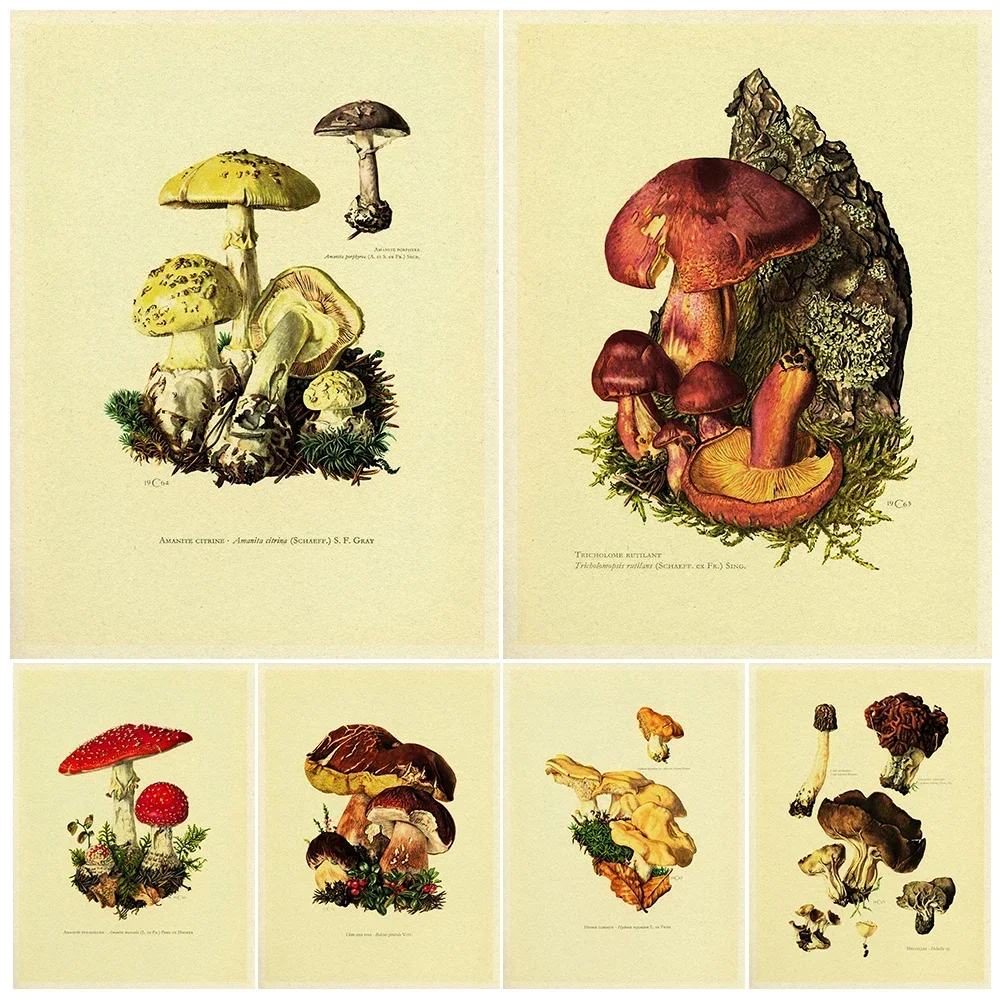 Arte de pared con estampado de setas de madera, decoración de ilustración de mitología, póster de arte impreso, decoración del hogar sin marco, Agaricus, silicola, Boletus, 1962