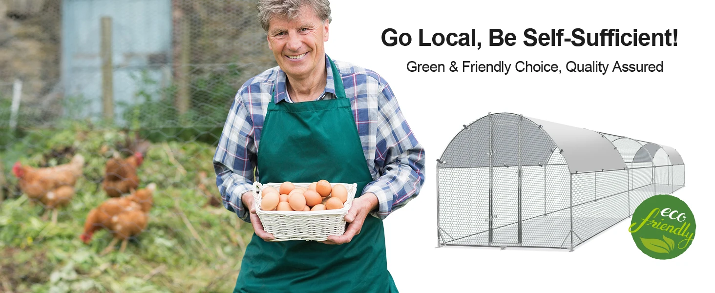 chicken pen