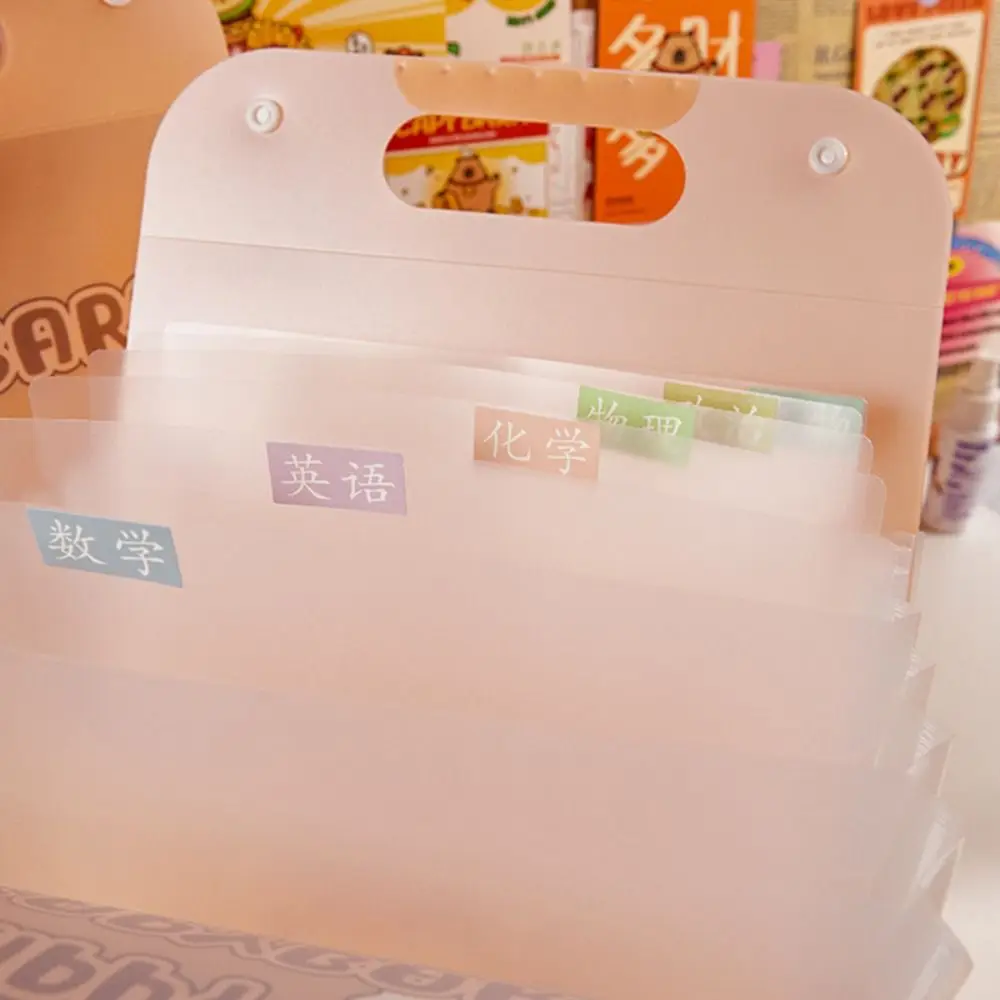 Portable Waterproof File Folder Capybara Large Capacity File Organizer PP 8/13 Pockets Test Paper Storage Folder Gift