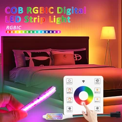 Rgbic Cob Stromend Water Led Strip Light Ws2811 5M 10M 15M 20M Dc 24V Adresseerbare Droomkleur Paard Race Touch Afstandsbediening Lamp