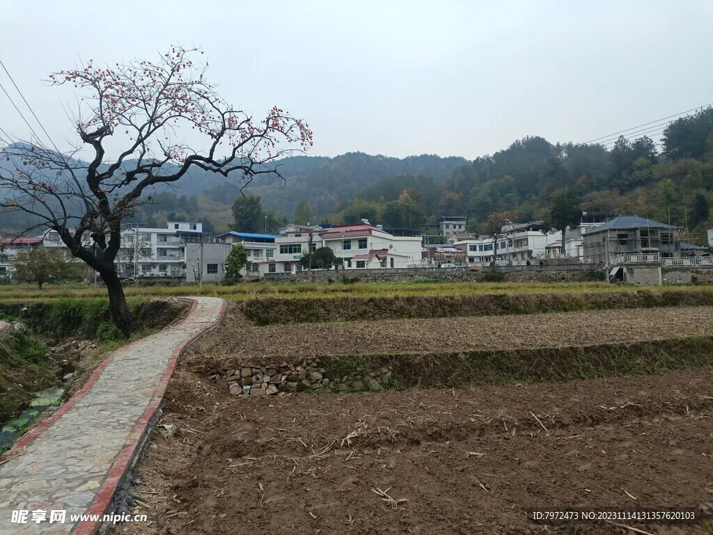 

Комплект из 4 маслонаполненных амортизаторов для радиоуправляемых моделей 1/16 1/12 WPL MN Henglong C14 C24 MN D90 D91 4x4 пикапов и краулеров (тюнинг)