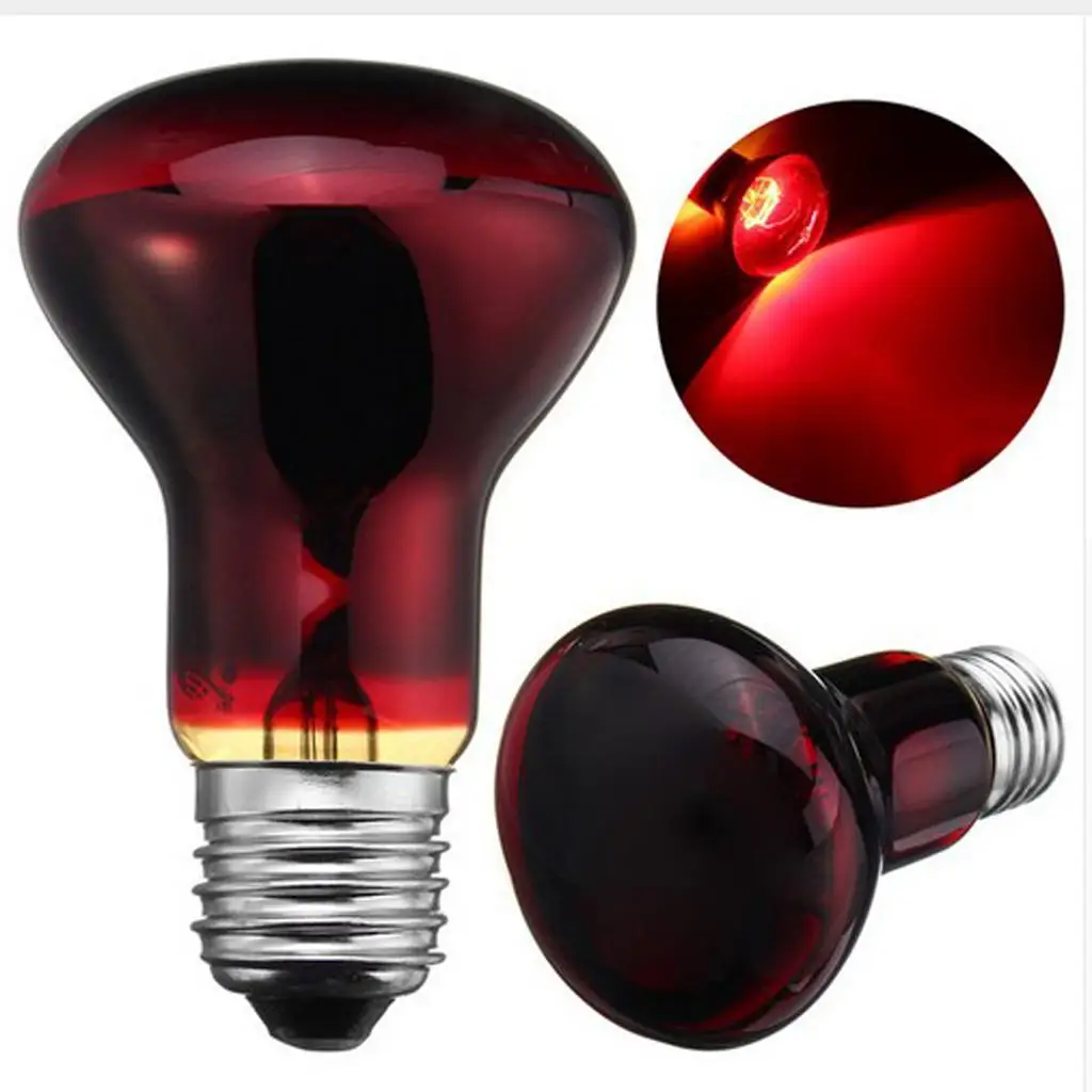 Lampe chauffante avec culot E27 pour réptiles tortue amphibienne veilleuse a