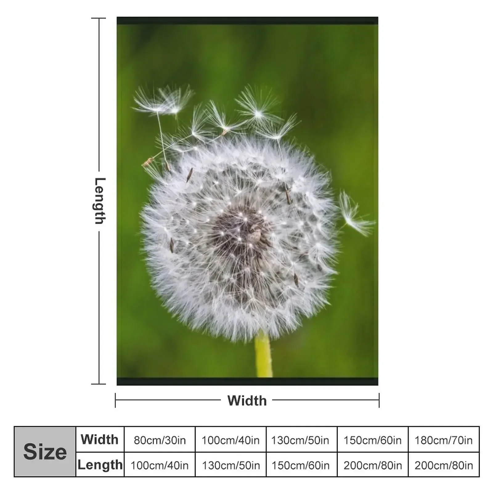 Gift idea dandelion photo Throw Blanket Plush Quilt Blankets