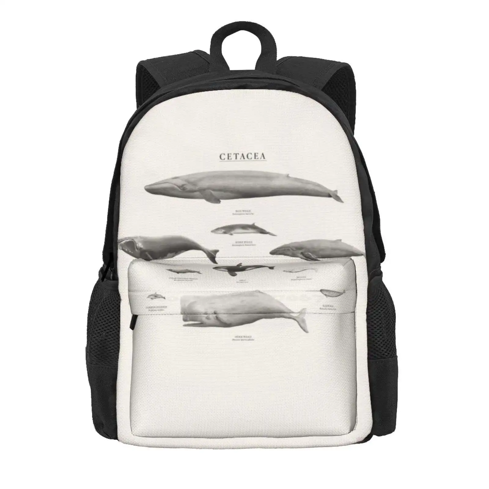 Cetacea Hot Sale Schoolbag Backpack Fashion Bags Cetaceans Dolphin Blue Whale Whale Humpback Whale Orca Killer Whale Minke