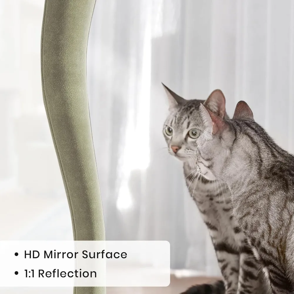 مرآة لكامل الجسم مثبتة على الأرض مع حامل، إطار من الفلانيل المريمية مقاس 63 × 24، معلق على الحائط، شكل غير منتظم، مثالي لديكور المنزل