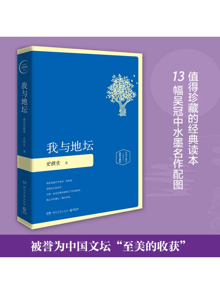 Book-Winshare I and the Temple Of Earth Illustrated Collector's Edition