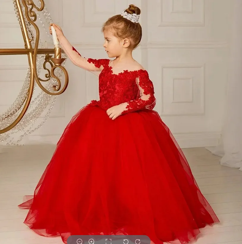 Flower Girl Dresses Lace Applique For Wedding Long Sleeve Princess Girl Formal Gown First Holy Communion Pageant Gown