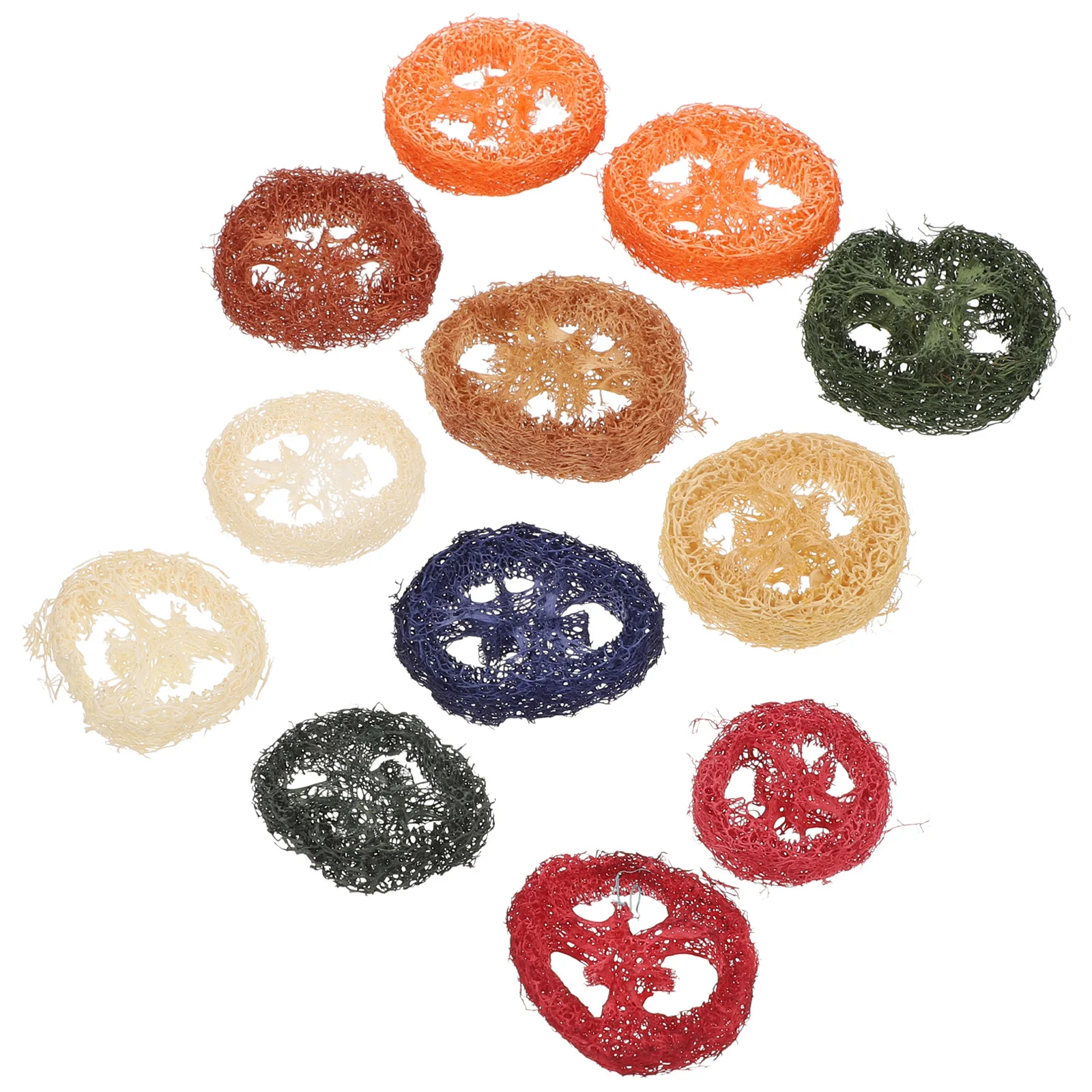 

12Pcs Loofah Chew Small Animal Pet Rat Hamster Dental Care Digestion Hairballs Solution Fun Interactive Playtime Essentials