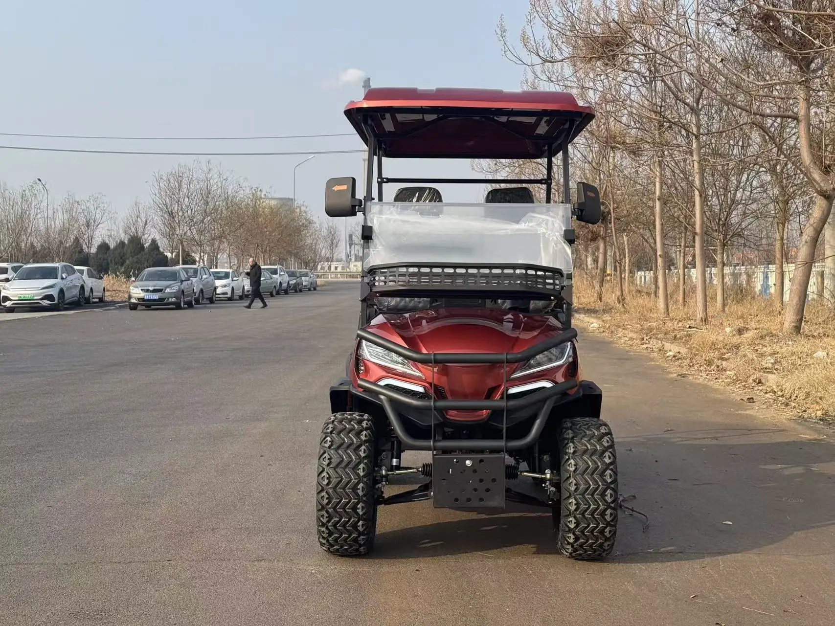 2/4/6/8 مقاعد الصيد عربة جولف الكهربائية على الطرق الوعرة عربات الغولف سيارة عربات التي تجرها الدواب سكوتر الغولف #4