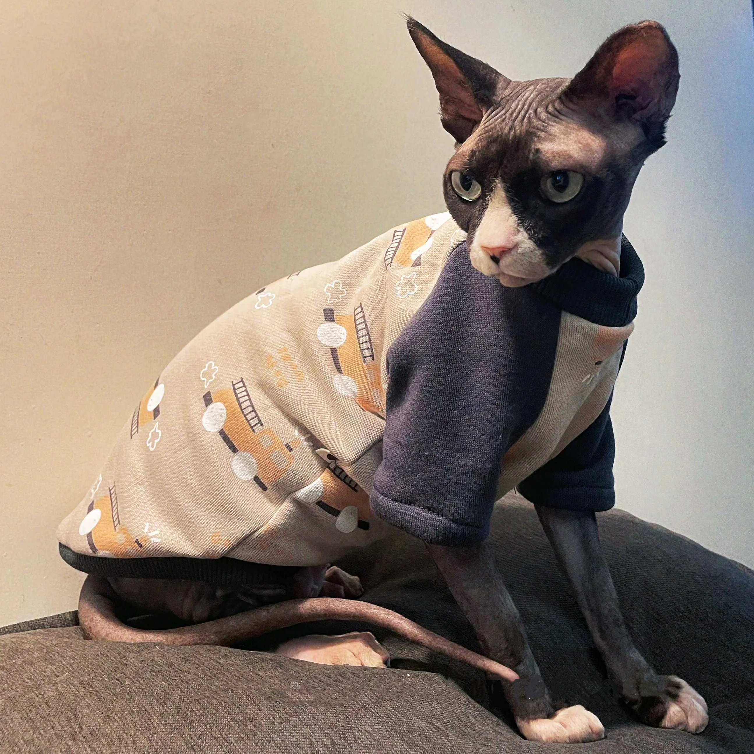 Sudadera de manga larga de invierno para Sphynx Cat, abrigo polar gris de coches de dibujos animados para gatitos en otoño, pijamas cálidos para Devon Rex