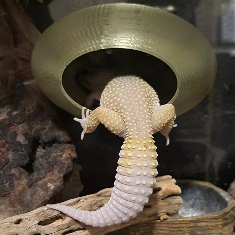 

lizard axolotls Aquarium Cave For Aquatic Pets To Breed, Play AndRest Fish Tank Ornaments