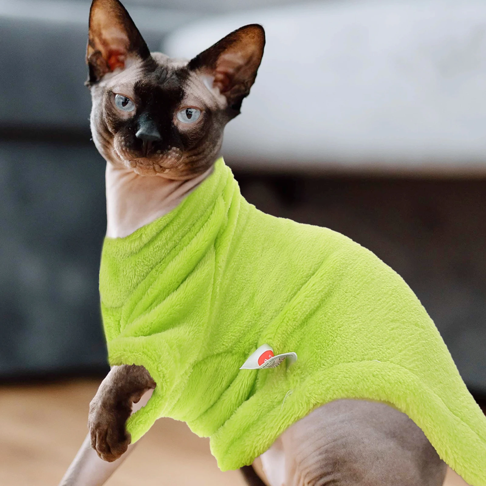 

Cat Clothes Costume Autumn and Winter Kitten Outfits Sphynx Clothing Apparel