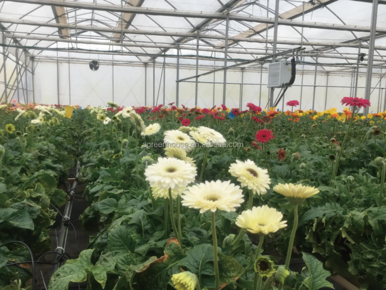 2024 Drip Irrigation Intelligent Water Fertilizer Machine for Agriculture Intelligent Fertilizer System