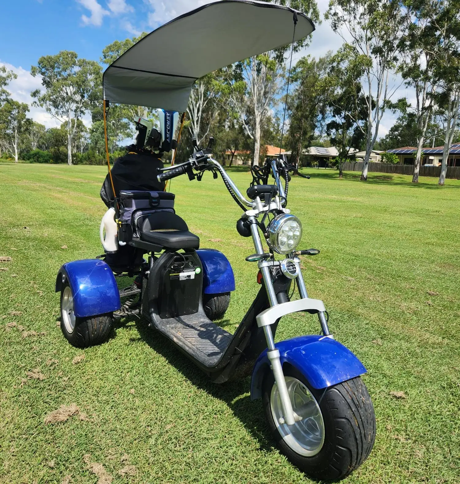 ZAIQU  australia market Electric Golf Cart 2 Passengers High Quality Golf Buggy Max Customized Motor Lithium Battery Controller