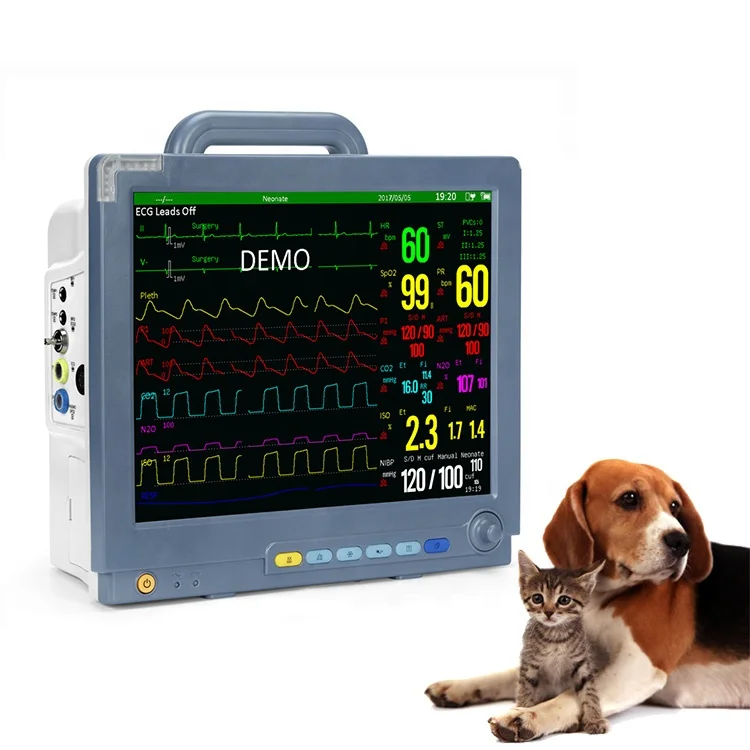 Animal Hospitals Equipment 15 Inch 5 ParametersVeterinary Monitors for Sale