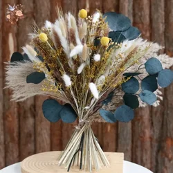 Natural Dried Flowers Home Decor Bouquet Wedding Arrangement Fluffy Phragmites Reeds Pampas Bunny Tail Grass Spring Decoration