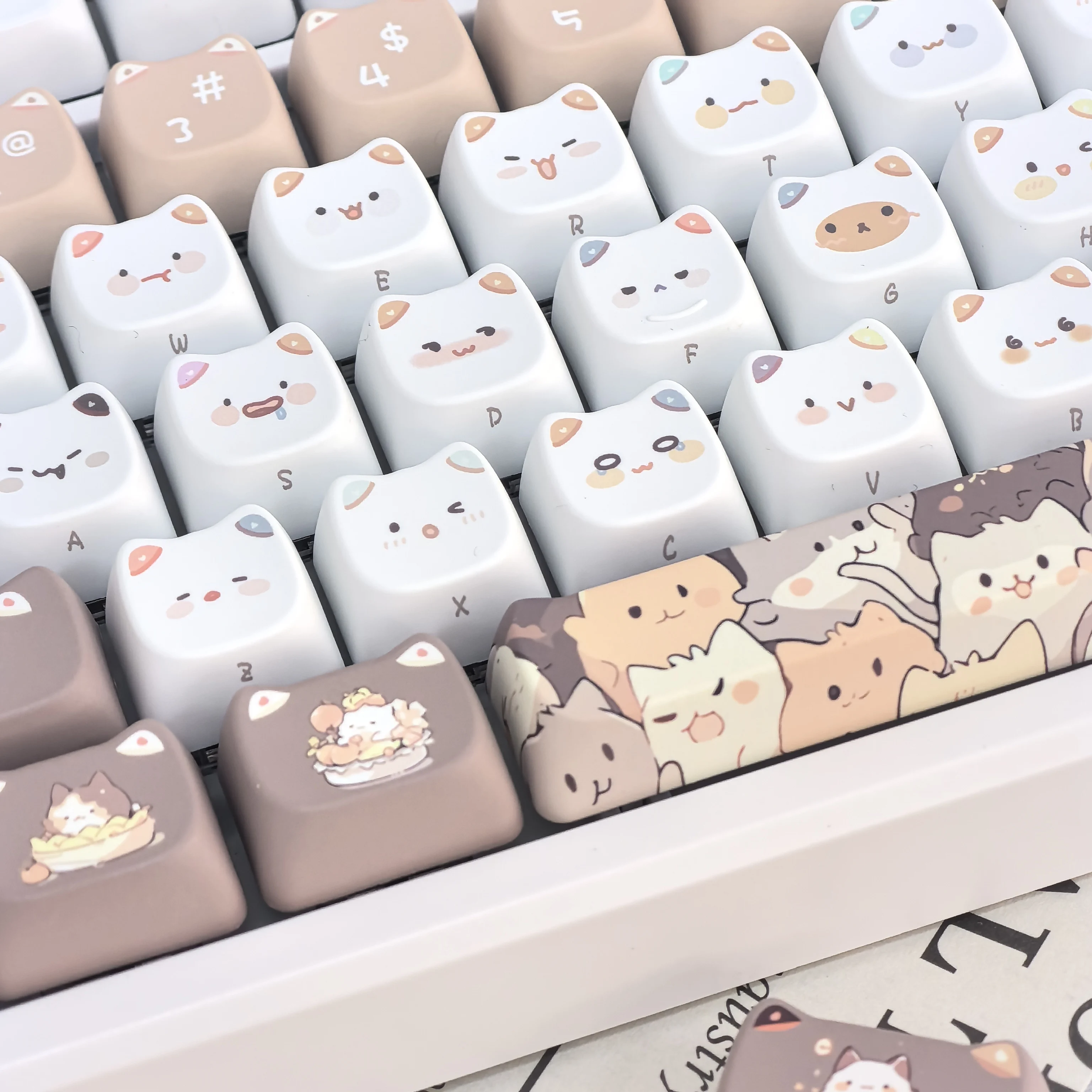 Imagem -03 - Cute Cat Keycaps Mao para Teclado Mecânico Faça Você Mesmo Space Bar Cartoon Shaped Pbt 6.25u Keycaps para Presentes