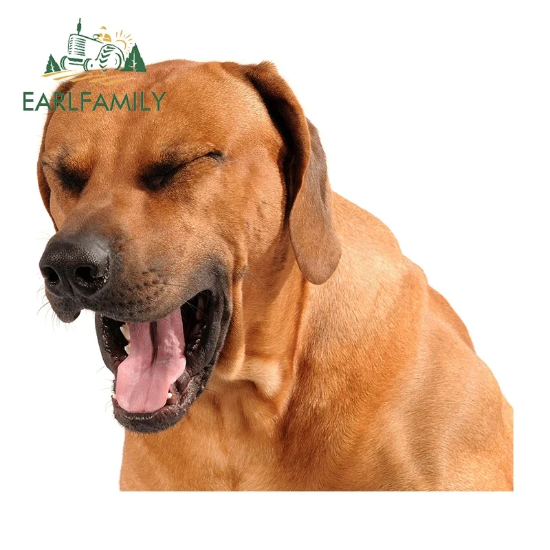 

EARLFAMILY 13cm x 11.8cm Funny Labrador Dog Car Stickers and Decals Window Bumper Trunk Decor Waterproof Vinyl Car Wrap