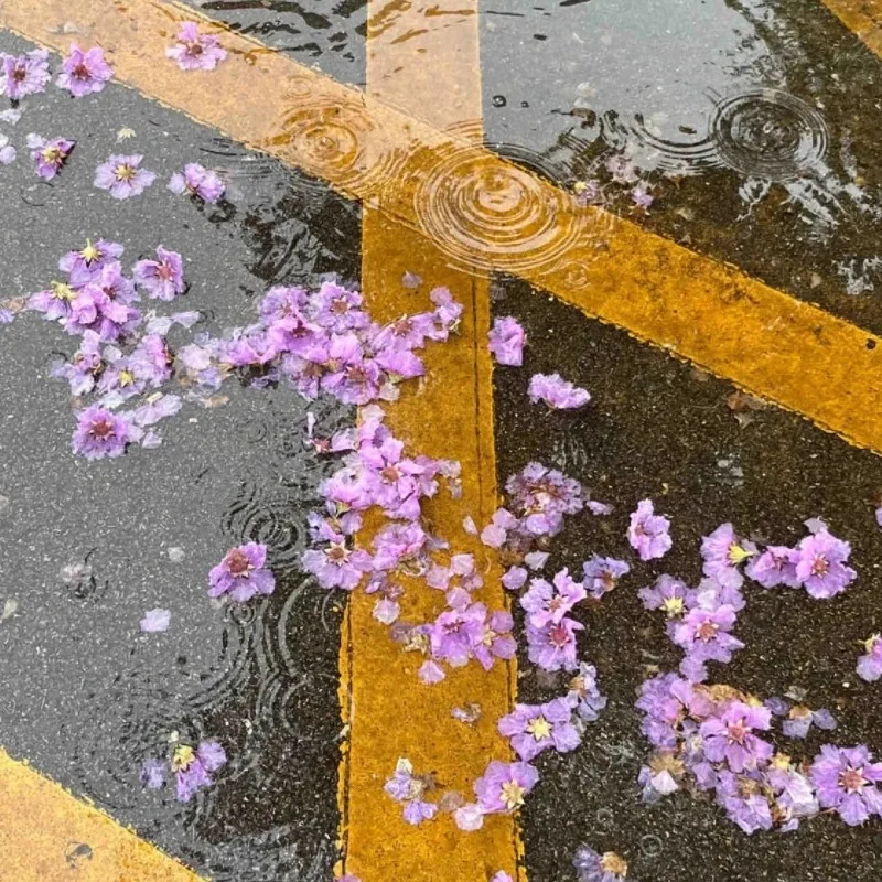 

Shipping link,please do not place an order thanks