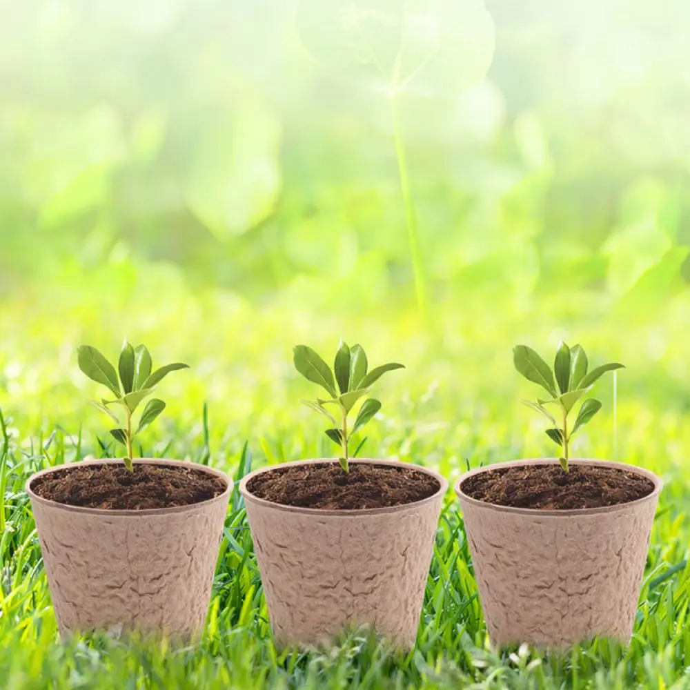 Biodegradable Nursery Pots Pulp Starter Trays Organic Plant Growing Cups For Garden Germination Seedling Starter
