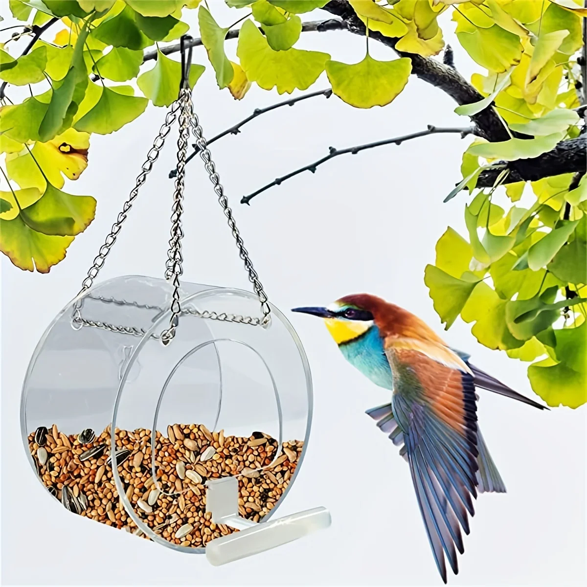 #3 Trending Bird Feeders Right Now