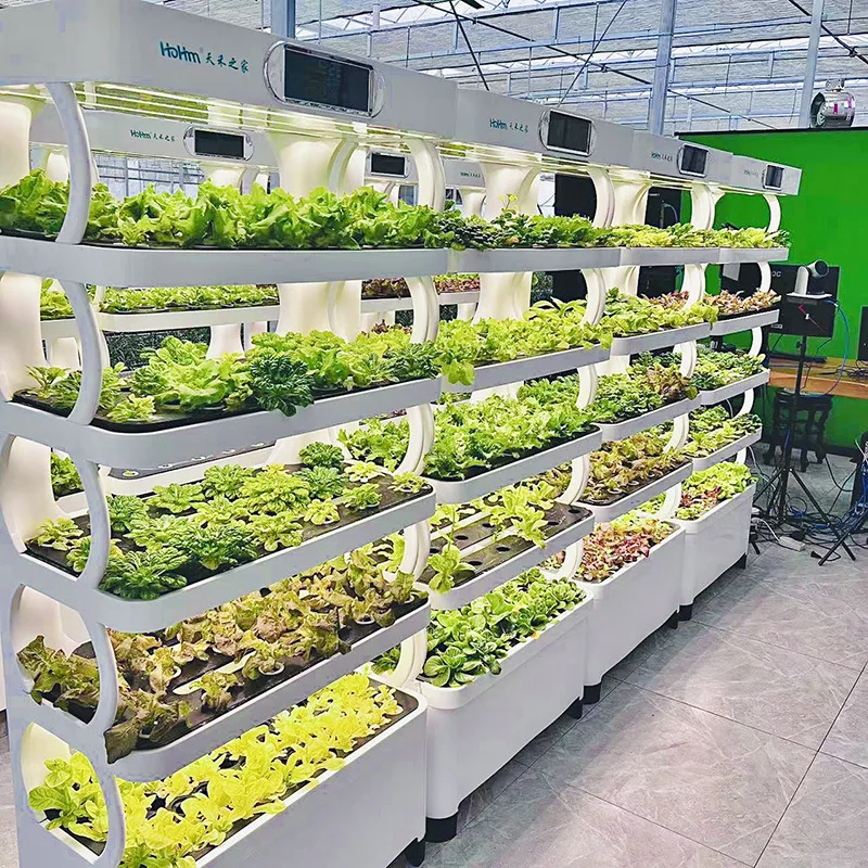 Oxygen vegetable planter balcony indoor office soilless hydroponic vegetable planting intelligent hydroponic vegetable planting
