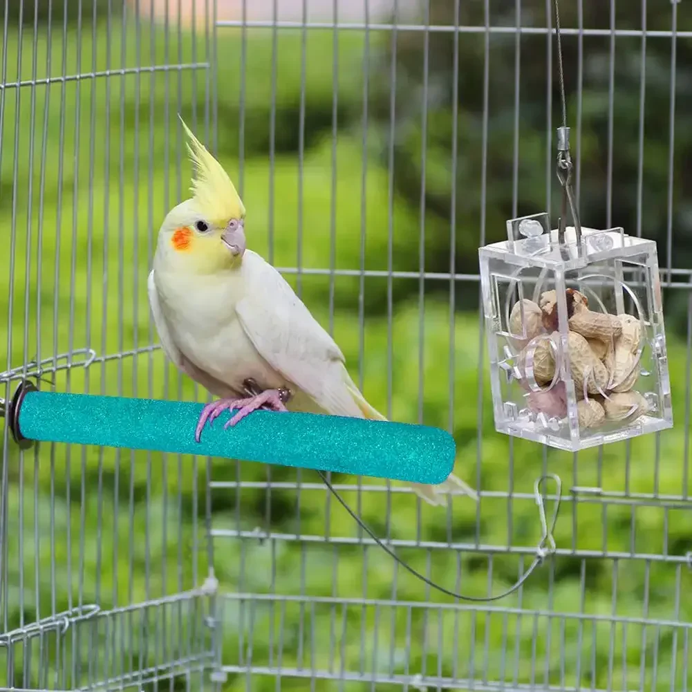 Barra de molienda de pico de garra de pájaro, palo de pie, poste de estación de loro, suministros de aves, soporte de molienda, accesorios de jaula