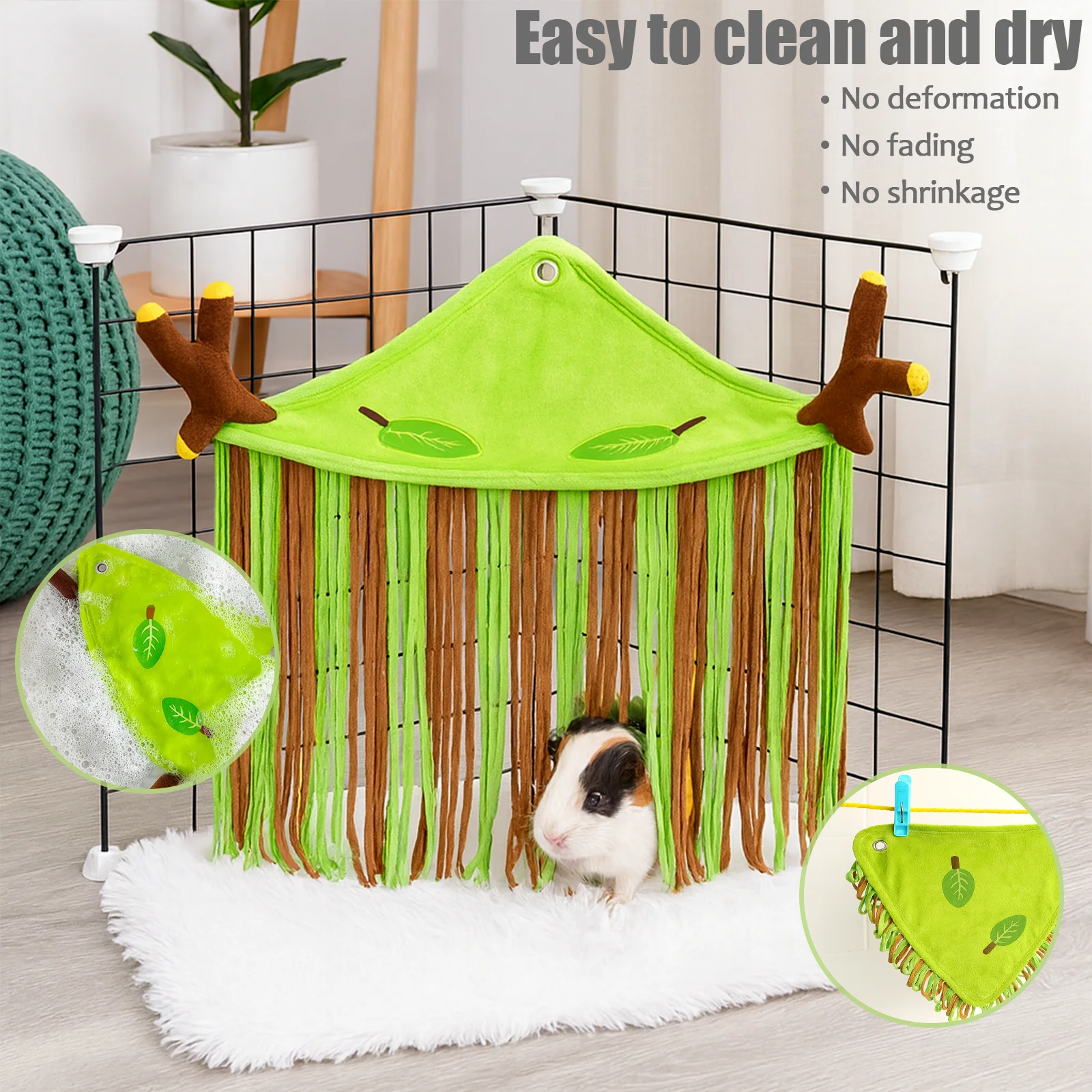 New Guinea Pig Corn…