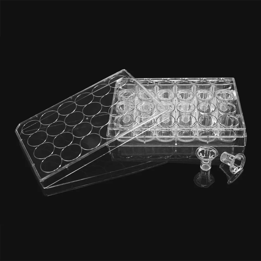 

6.5mm Cell Culture Insert with 0.4um Pore Size - Opaque PET Membrane for Transwell Assays