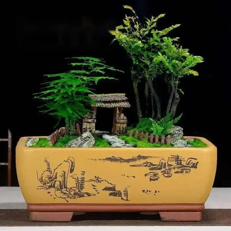 Flower Pot Purple Clay Ceramic Rectangular Bonsai Fig Tree Podocarpus Pine Ganoderma Old Stump Pot