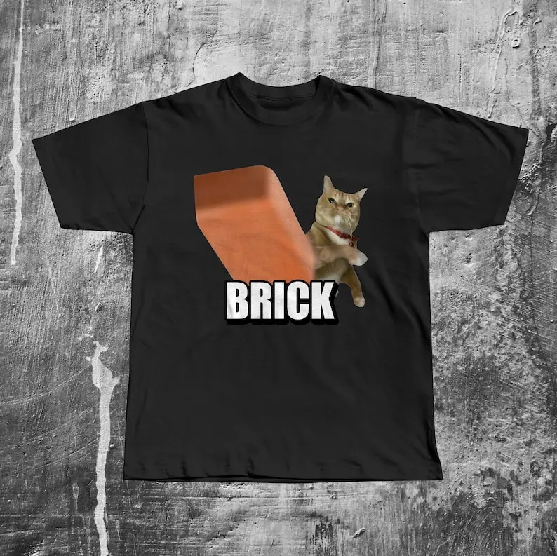 Funny Cat Throwing Brick T-shirt, Meme Shirt, Silly Cats Tee, Unhinged Clothes, Brainrot Shirts, Cat Lover Gifts, Weird Tshirt