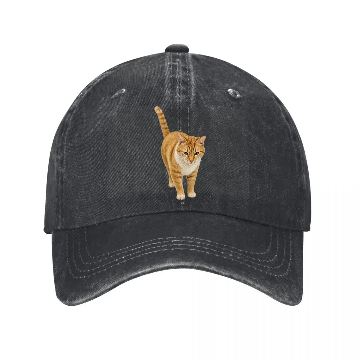Golden Brown Tabby Cat Standing With Raised Tail Washed Baseball Cap Hip Hop Sun Hats