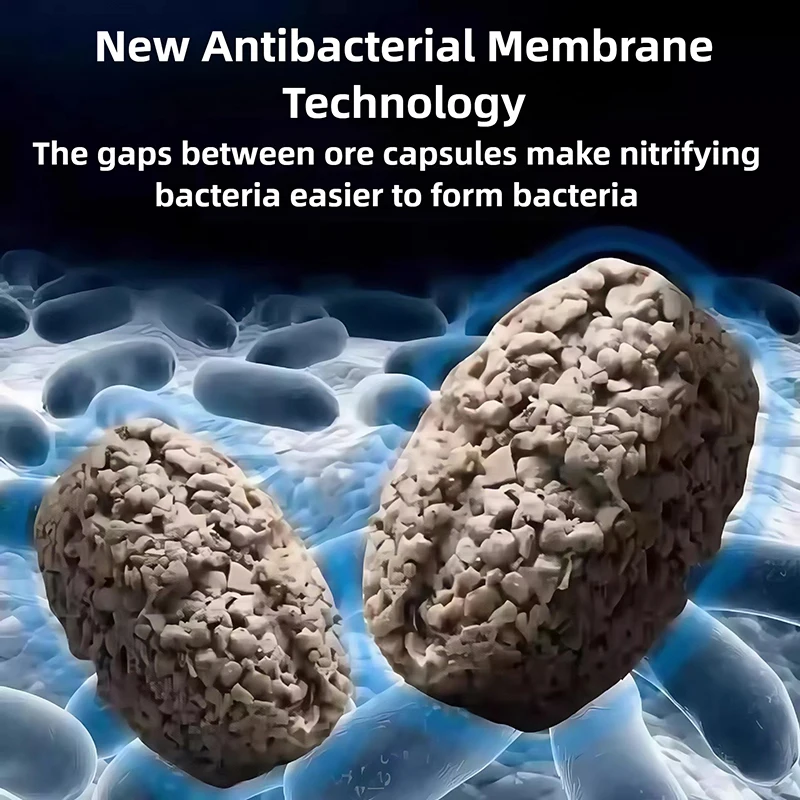 200G/300G/400G/500G…