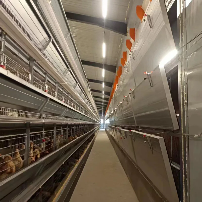 Large-scale stacked layer cage Fully automatic manure cleaning, egg picking and feeding layer cage