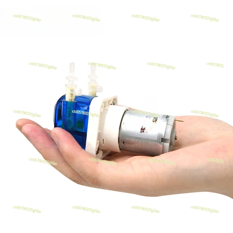 HM100 Low Flow Brushless/Brushless DC Motor Stepping Motor Small Peristaltic Pump Liquid Dosing Pump 12V/24V 100ml/min