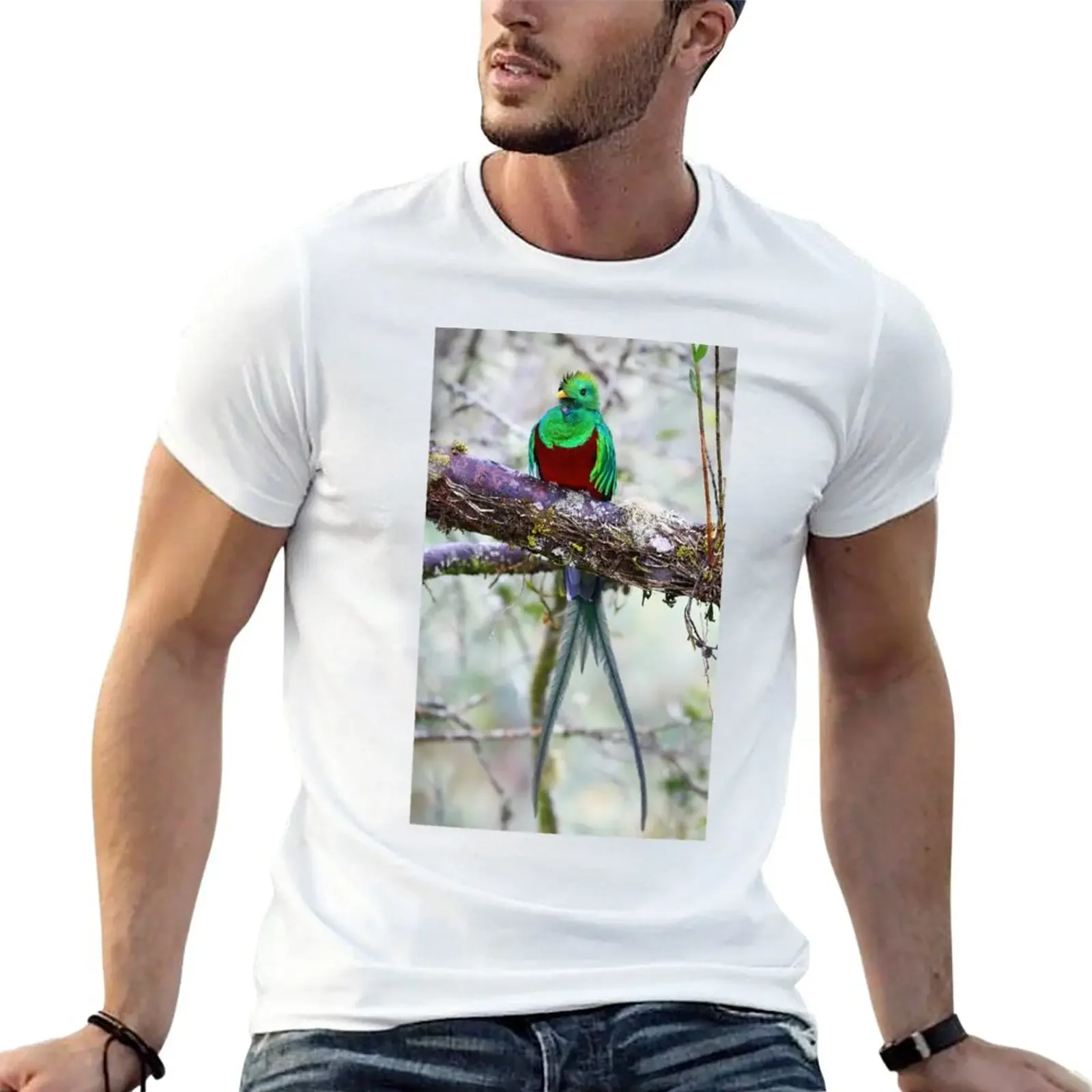 Nueva camiseta Resplendent Quetzal, camiseta de gran tamaño, camisetas personalizadas, camisetas de gran gramaje, camiseta de manga corta para hombre
