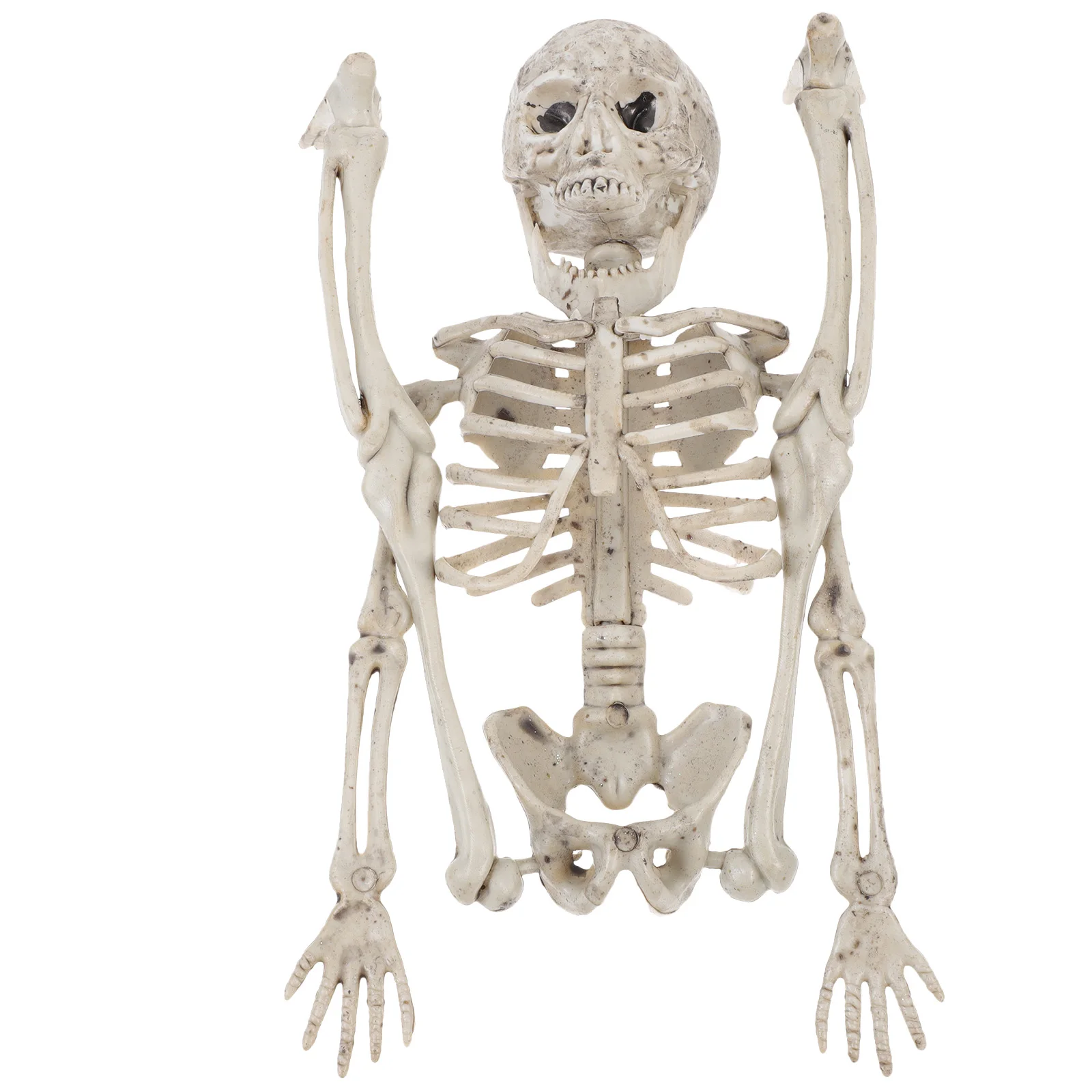 

Decorations Props Halloween Body Atmosphere Model Skeletons Make up Beige