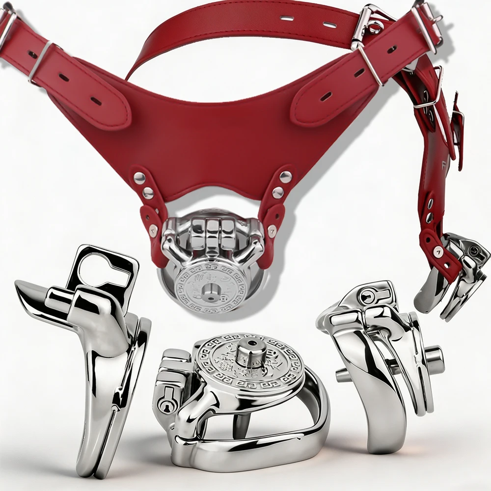 LEZEE Coin Pattern Steel Chastity Cage Male Penis Lock Device With Chastity Belt BDSM Cock Cages Urethral Locking Ring BDSM