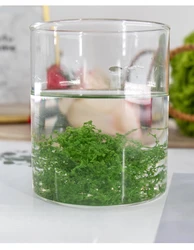 Realistic Artificial Moss Sheet - for DIY Scenery, Fairy Gardens, Green Walls & Decoration, Easy to Cut