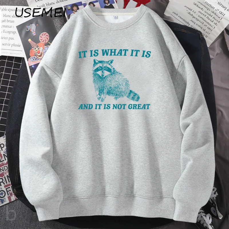 It Is What It Is and It Is Not Great Sweatshirt Vintage Mental Health Funny Sweatshirts Raccoon Meme Hoodie Streetwear