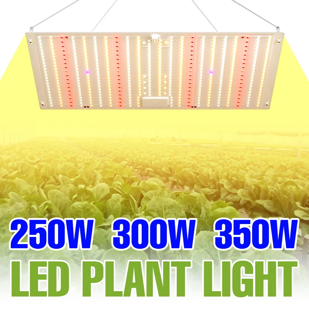 

Светодиодный фитосветильник полного спектра 350 Вт, 220 В, Quantum Board, для рассады, теплиц, выращивания овощей и фруктов