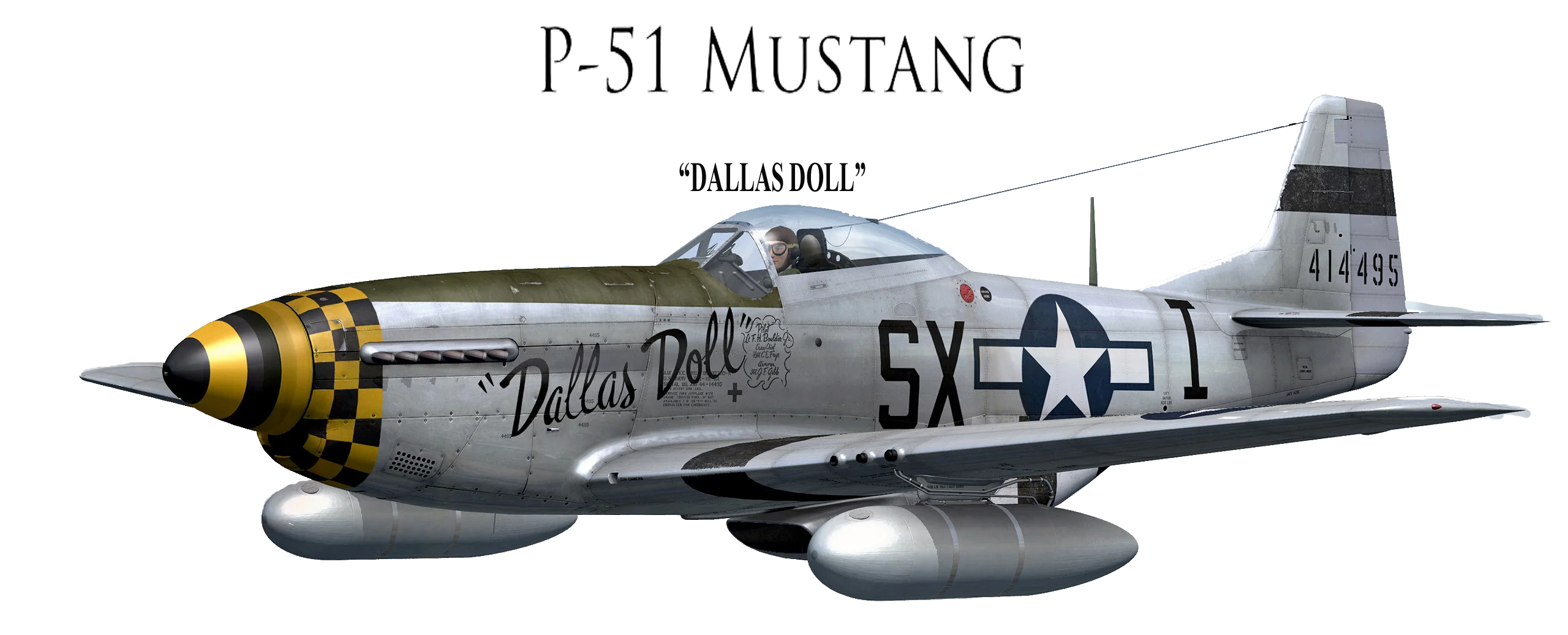 WWII US AIr Force P-51 Mustang 