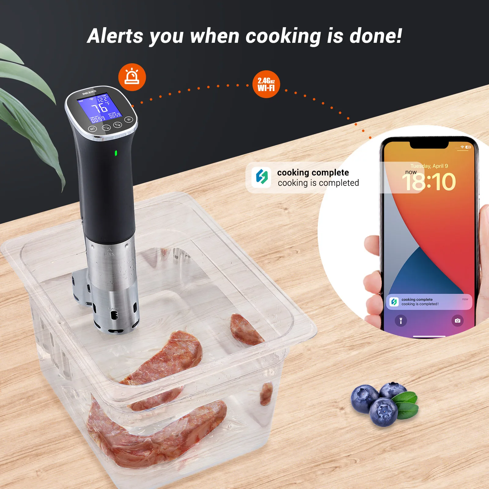 INKBIRD ISV-300W WiFi Sous Vide Machine Waterproof Sous Vide Cooker APP Remote Control with Recipes Alarm Timer Booking Function